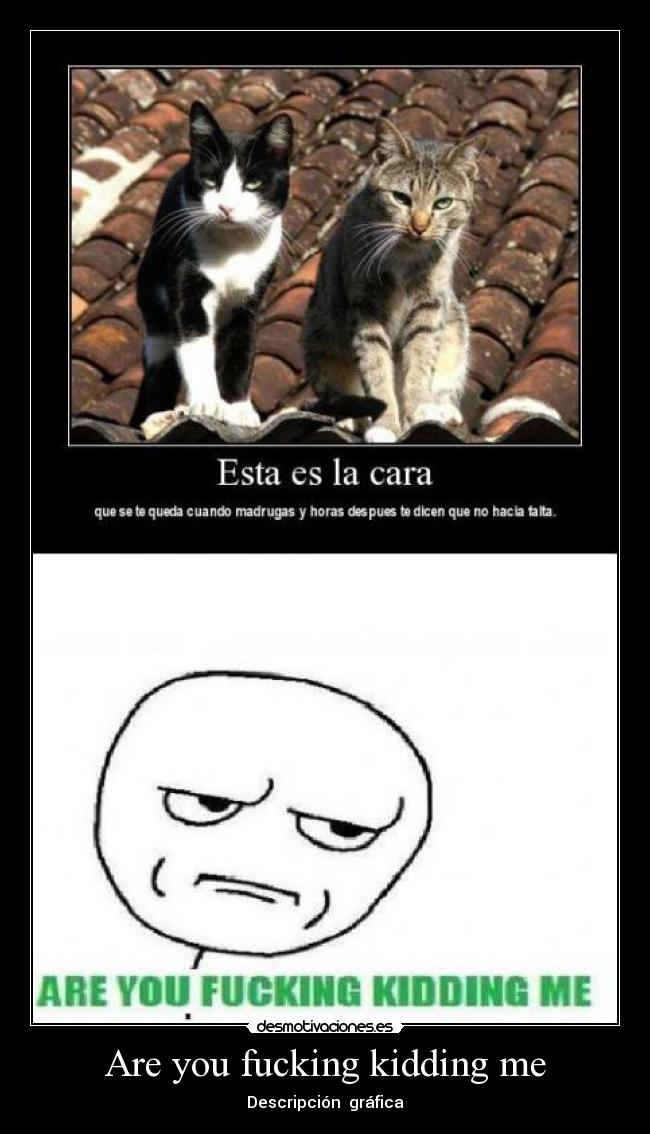 Are you fucking kidding me - Descripción gráfica