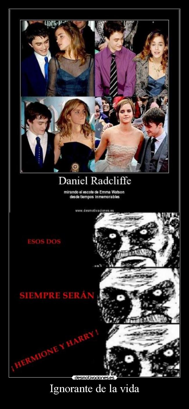 Ignorante de la vida -