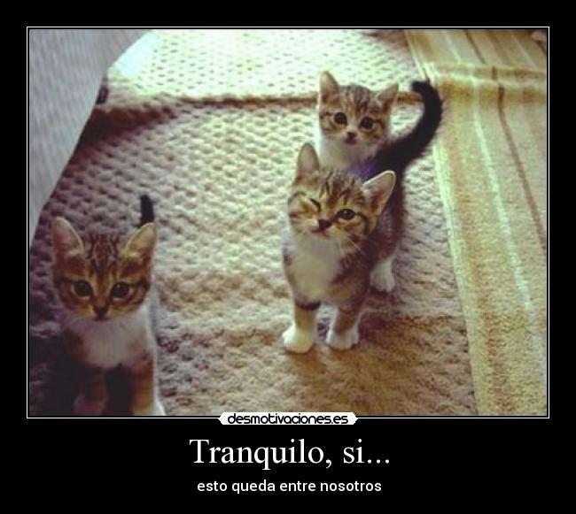 Tranquilo, si... -
