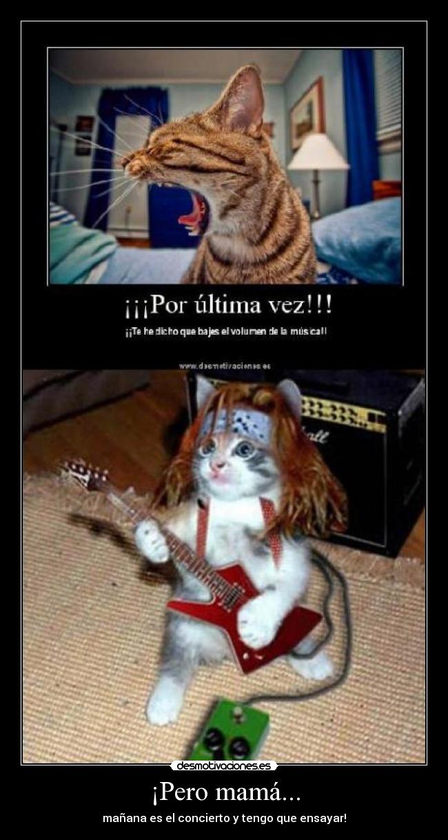 carteles gato musica concierto ensayar desmotivaciones