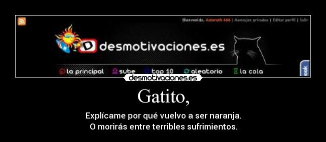 Gatito, - Explícame por qué vuelvo a ser naranja.
O morirás entre terribles sufrimientos.