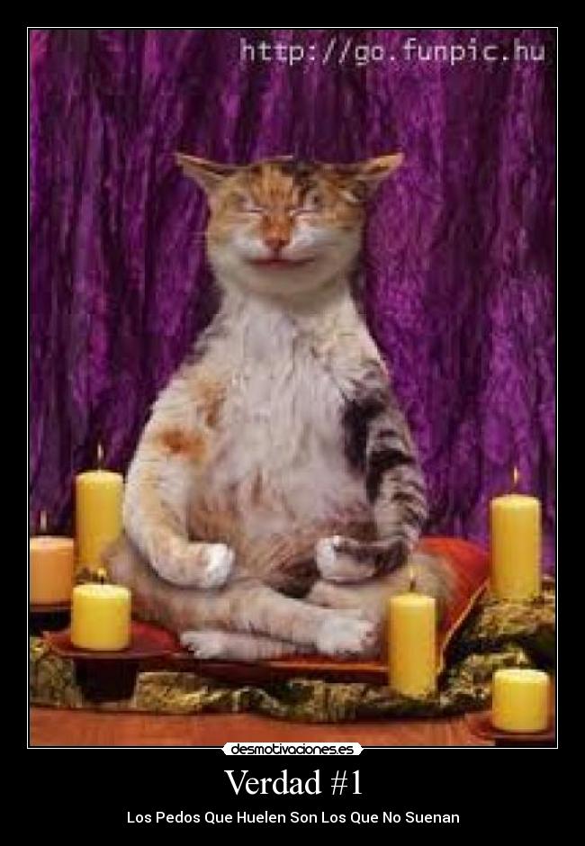 Verdad #1 - Los Pedos Que Huelen Son Los Que No Suenan