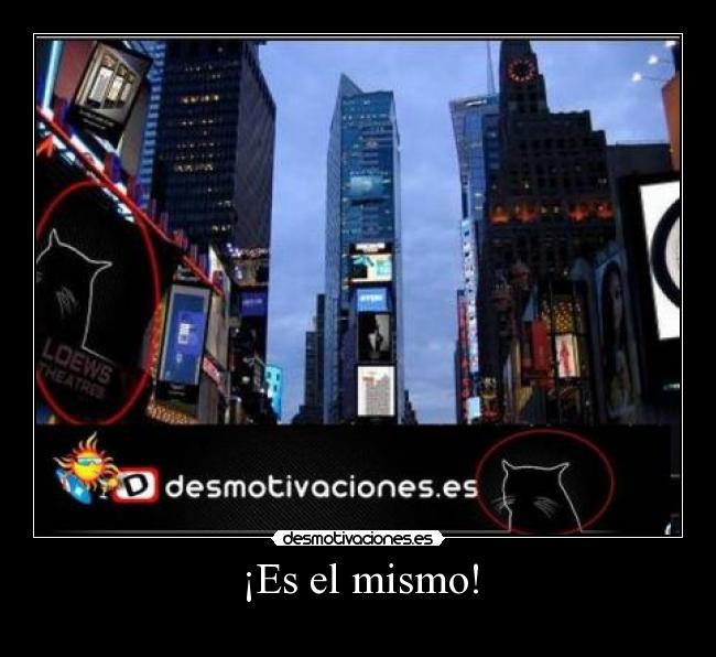 carteles asdf desmotivaciones