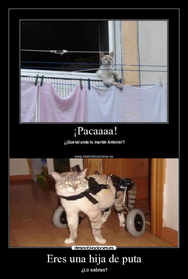 Eres una hija de puta - ¿Lo sabías?