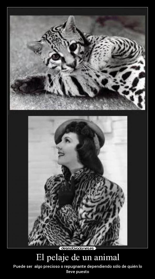 El pelaje de un animal - Puede ser  algo precioso o repugnante dependiendo sólo de quién lo lleve puesto