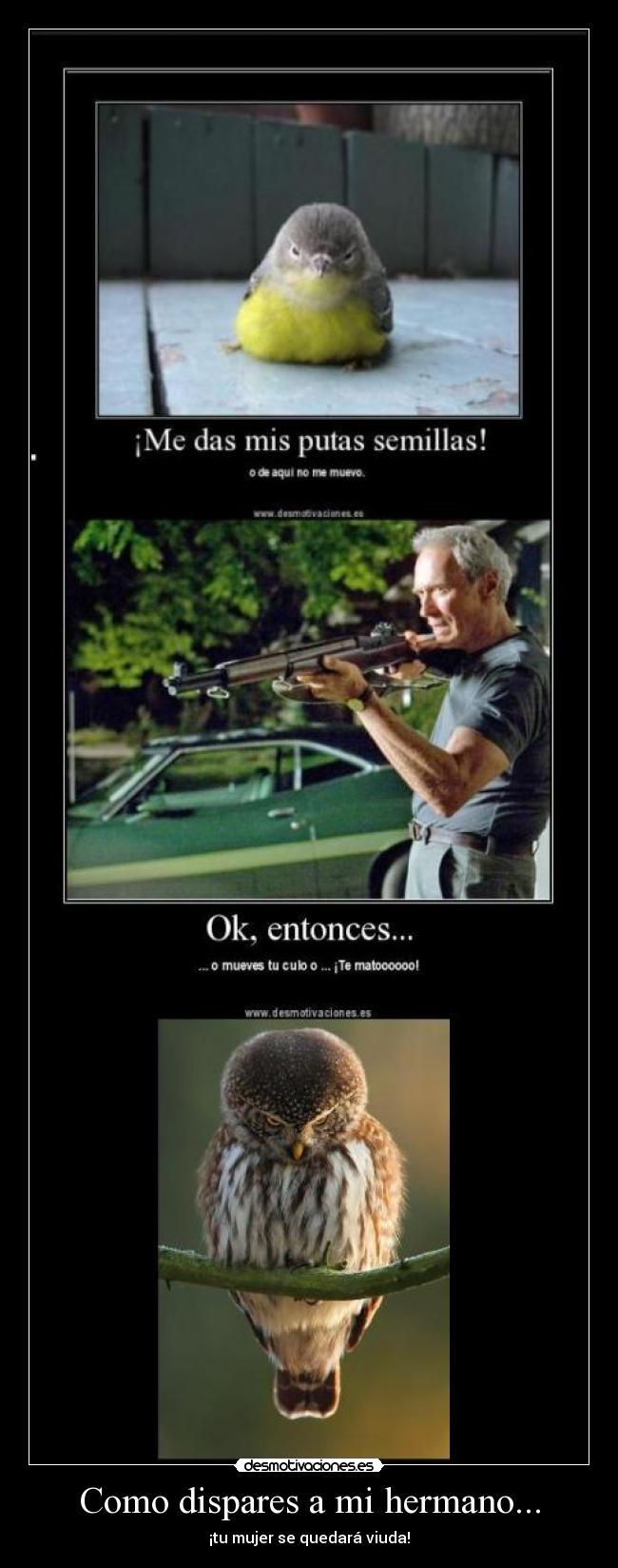 Como dispares a mi hermano... - 