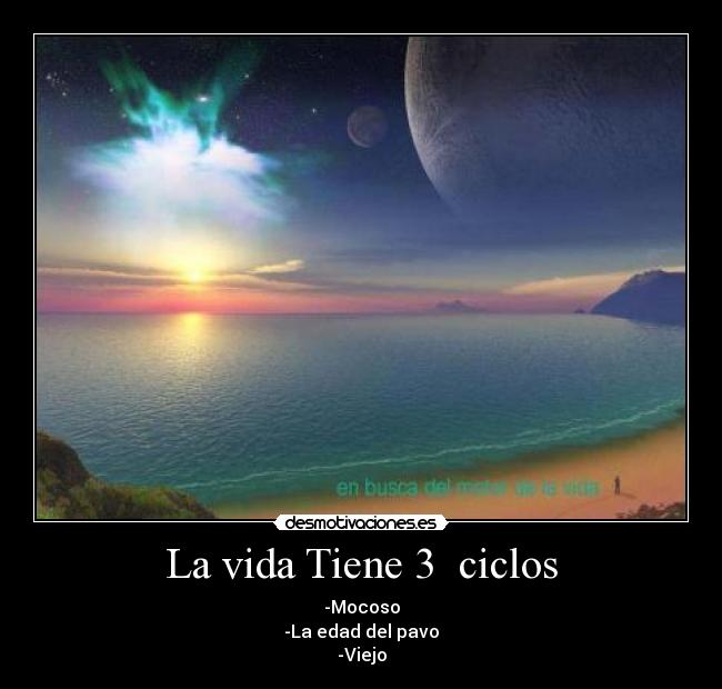 La vida Tiene 3 ciclos -