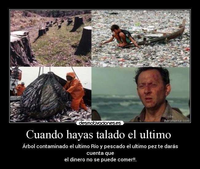 Cuando hayas talado el ultimo - Árbol contaminado el ultimo Río y pescado el ultimo pez te darás cuenta que
el dinero no se puede comer!!.
