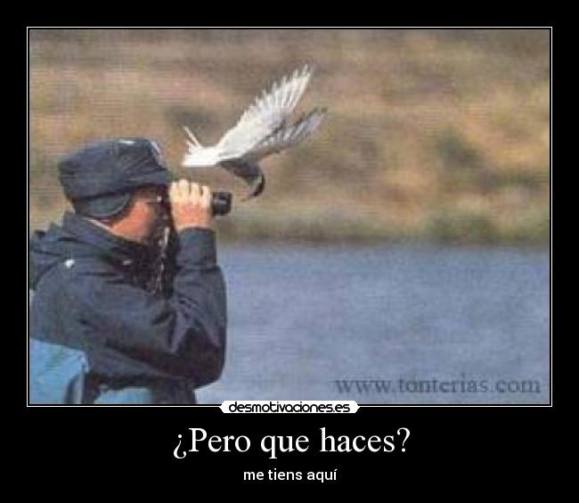 carteles alcon-rojo desmotivaciones