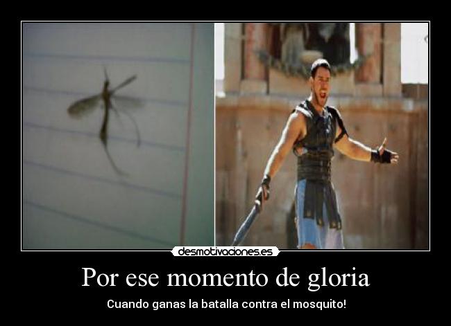 Por ese momento de gloria - 