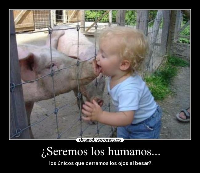 ¿Seremos los humanos... - los únicos que cerramos los ojos al besar?