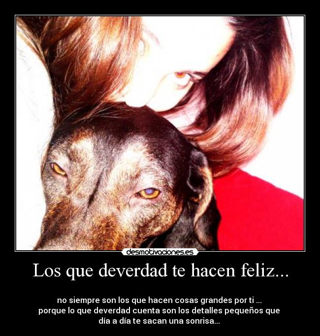 carteles perro mascota animal desmotivaciones