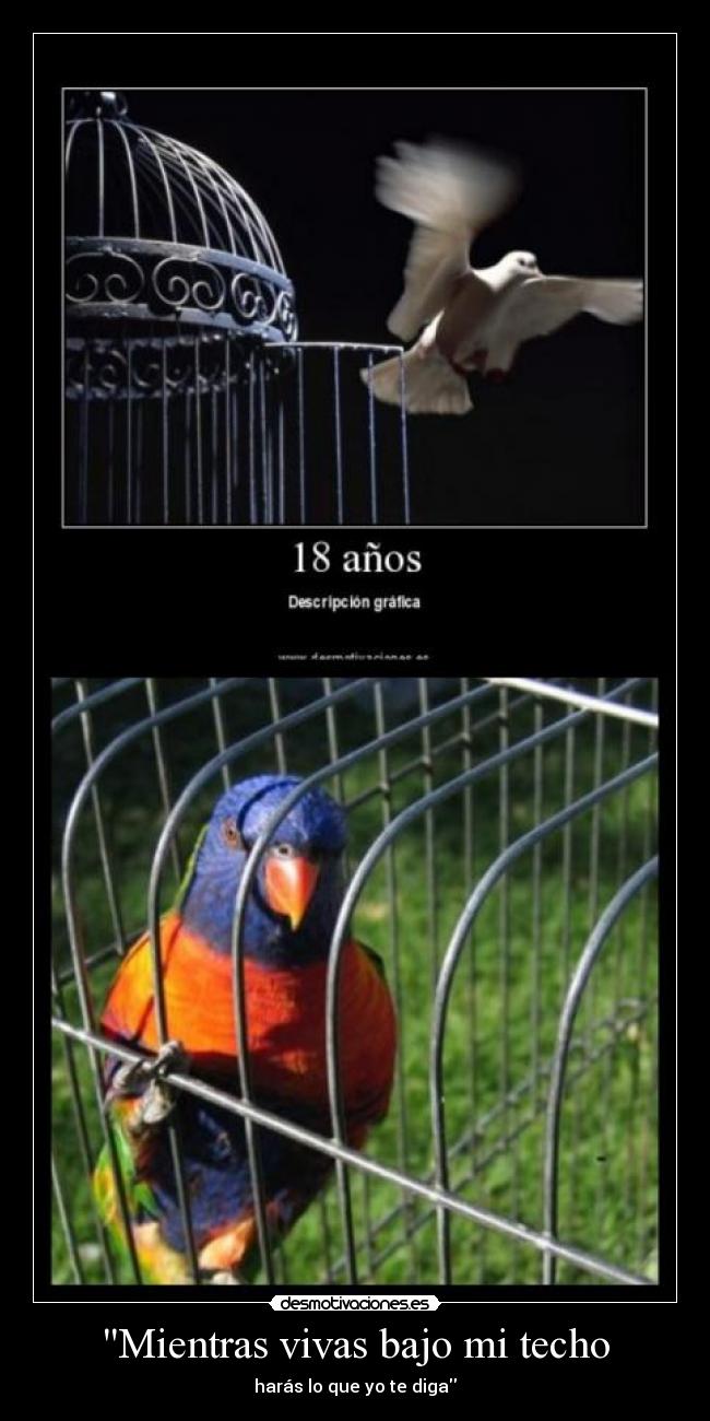 Mientras vivas bajo mi techo - 