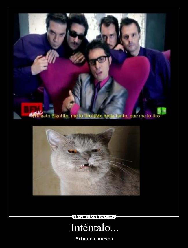 Inténtalo... - 
