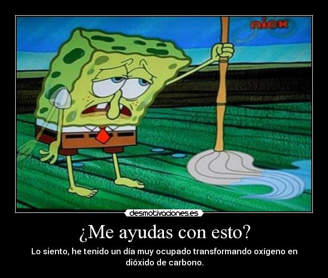 ¿Me ayudas con esto? -