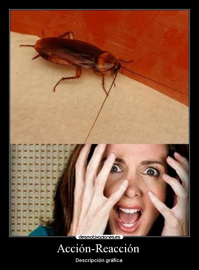 Acción-Reacción - Descripción gráfica