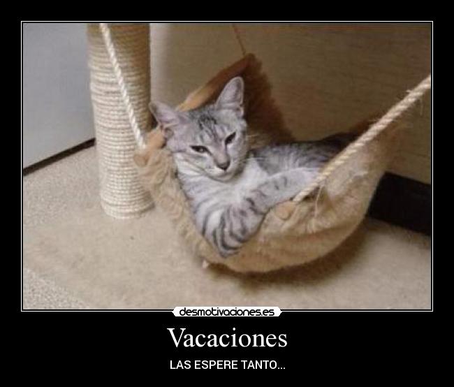 Vacaciones - LAS ESPERE TANTO...