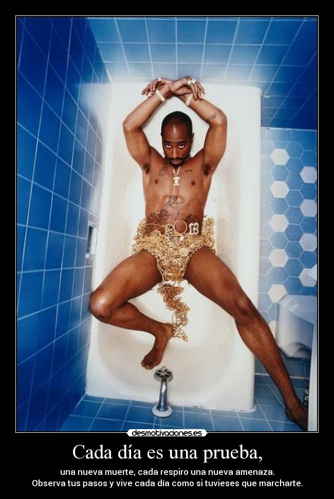 Cada día es una prueba, -