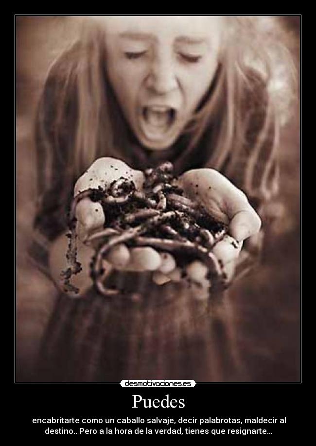 carteles puedes desmotivaciones