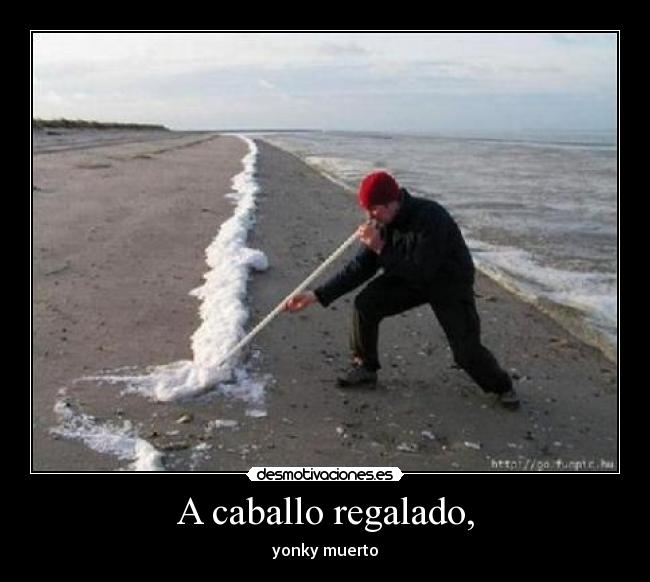 A caballo regalado, - yonky muerto