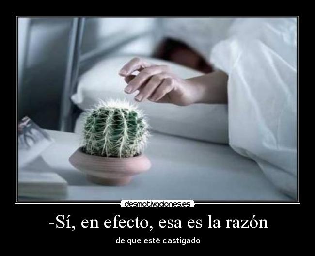 -Sí, en efecto, esa es la razón -