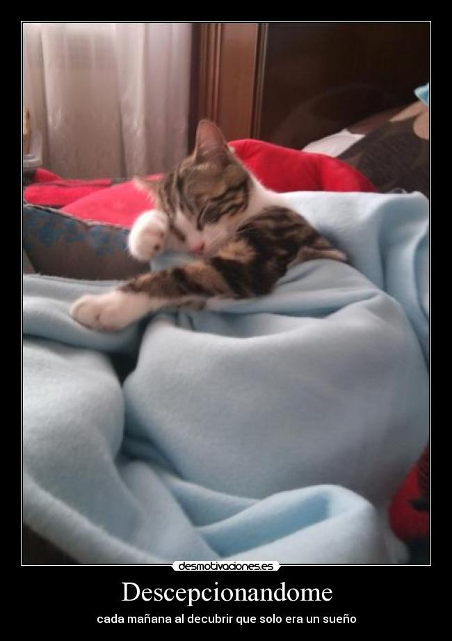 Descepcionandome - cada mañana al decubrir que solo era un sueño
