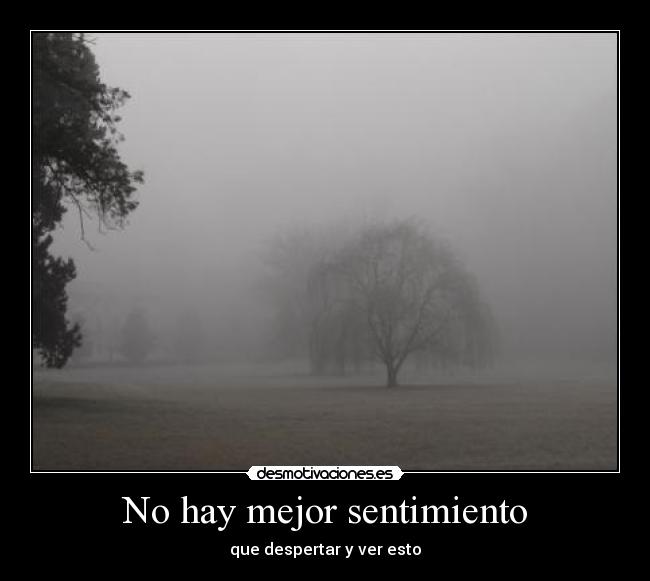 No hay mejor sentimiento - que despertar y ver esto