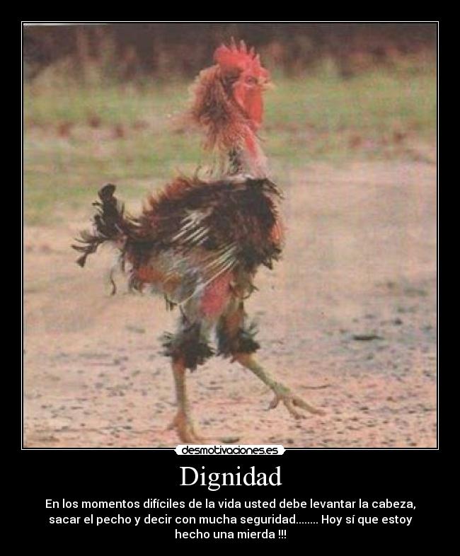 carteles frases desmotivaciones