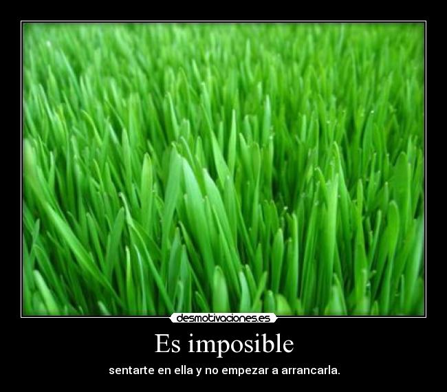 Es imposible -