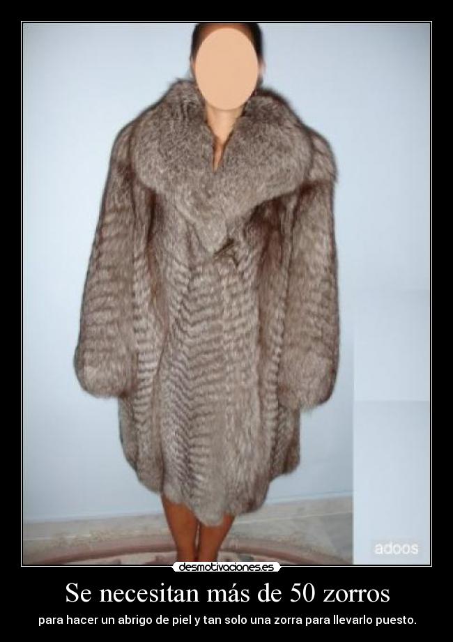 Se necesitan más de 50 zorros - 