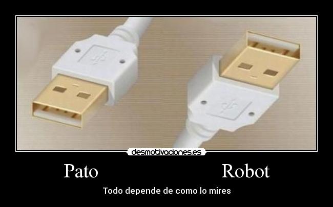 Pato                        Robot - 