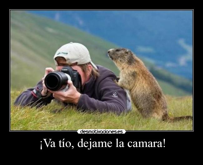 ¡Va tío, dejame la camara! -  