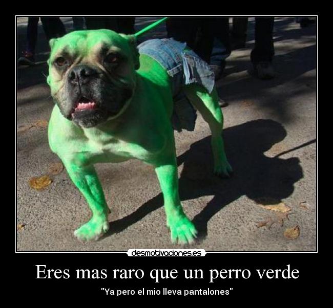 carteles perroverde desmotivaciones