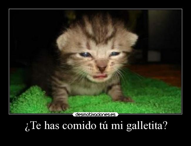 ¿Te has comido tú mi galletita? -