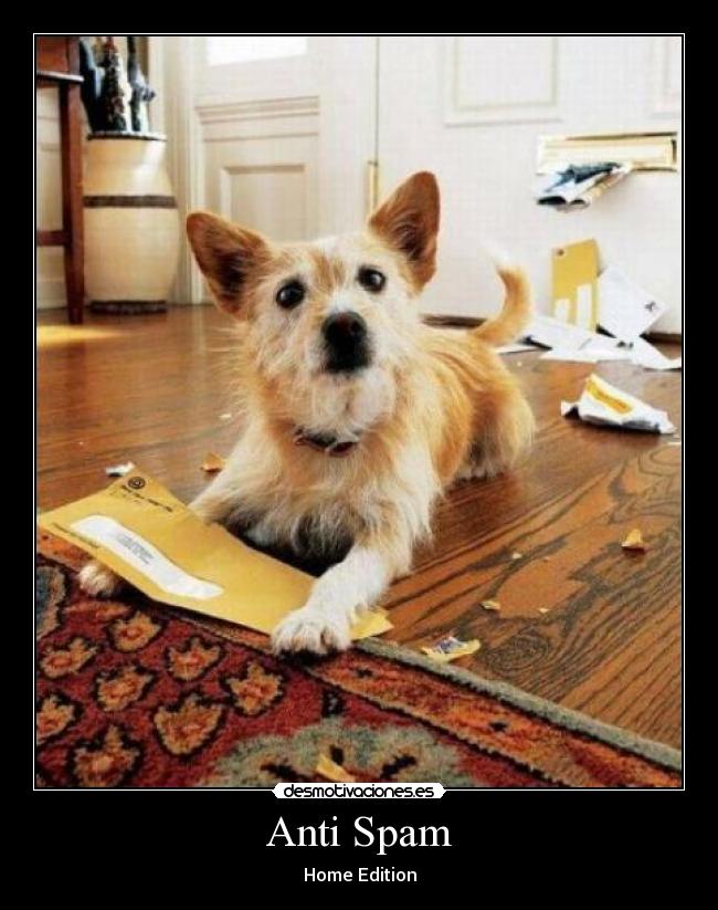 Anti Spam -