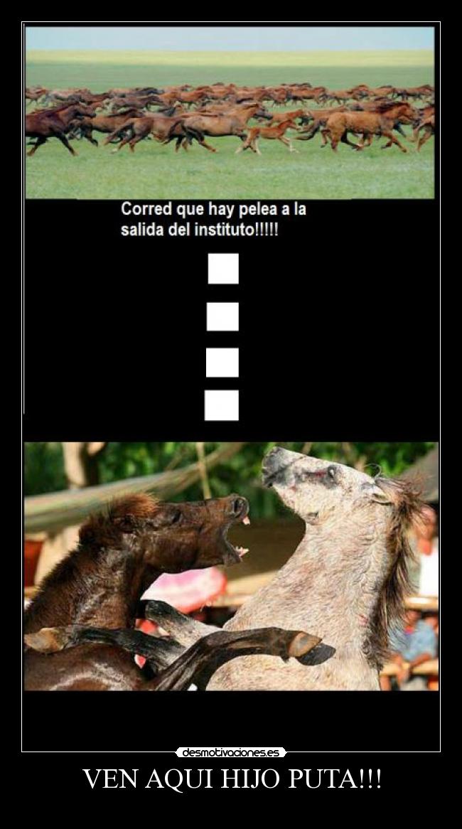 VEN AQUI HIJO PUTA!!! -