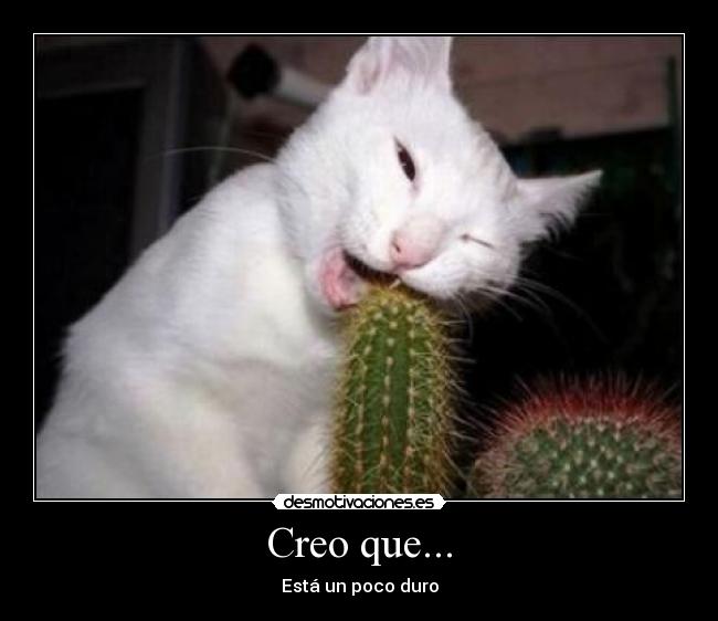 carteles creo que desmotivaciones