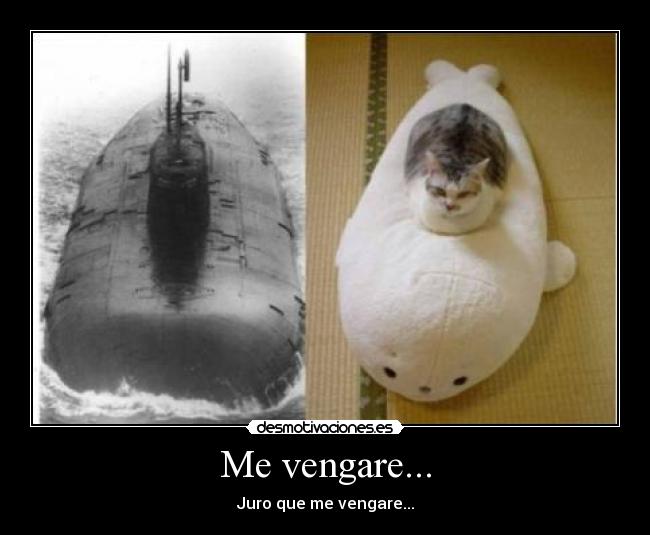 carteles vengarsegato ridiculomonada desmotivaciones