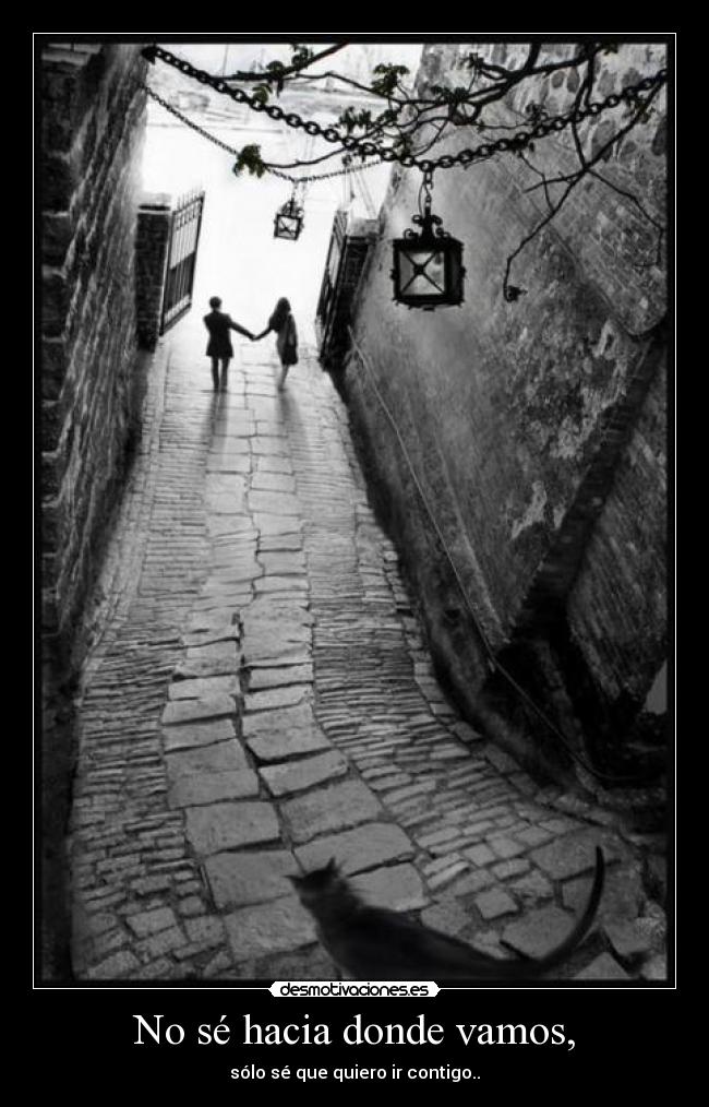 No sé hacia donde vamos, - sólo sé que quiero ir contigo..