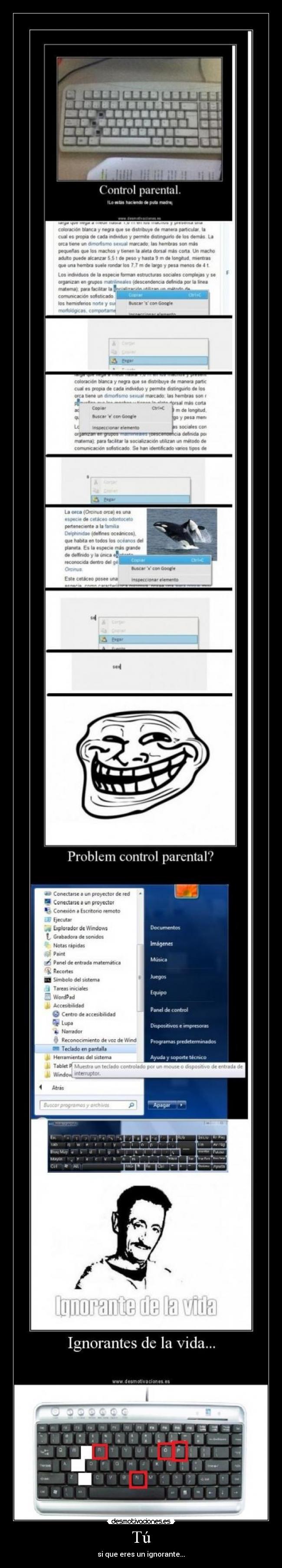 Tú - si que eres un ignorante...