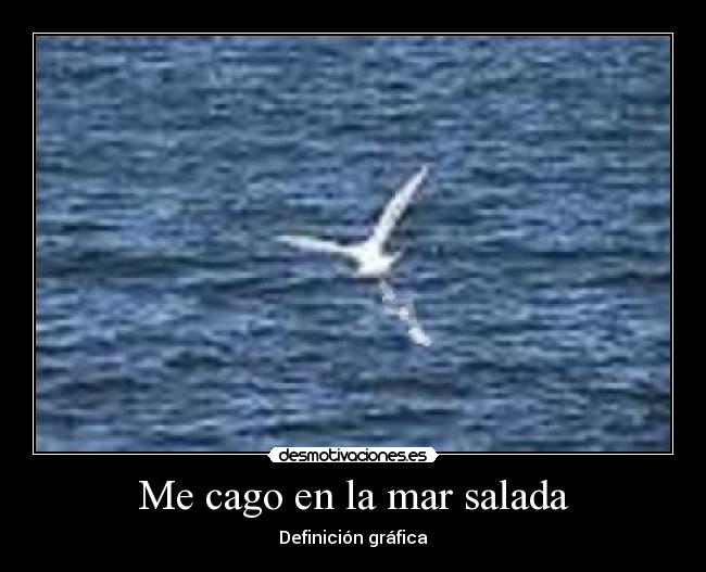 Me cago en la mar salada - Definición gráfica