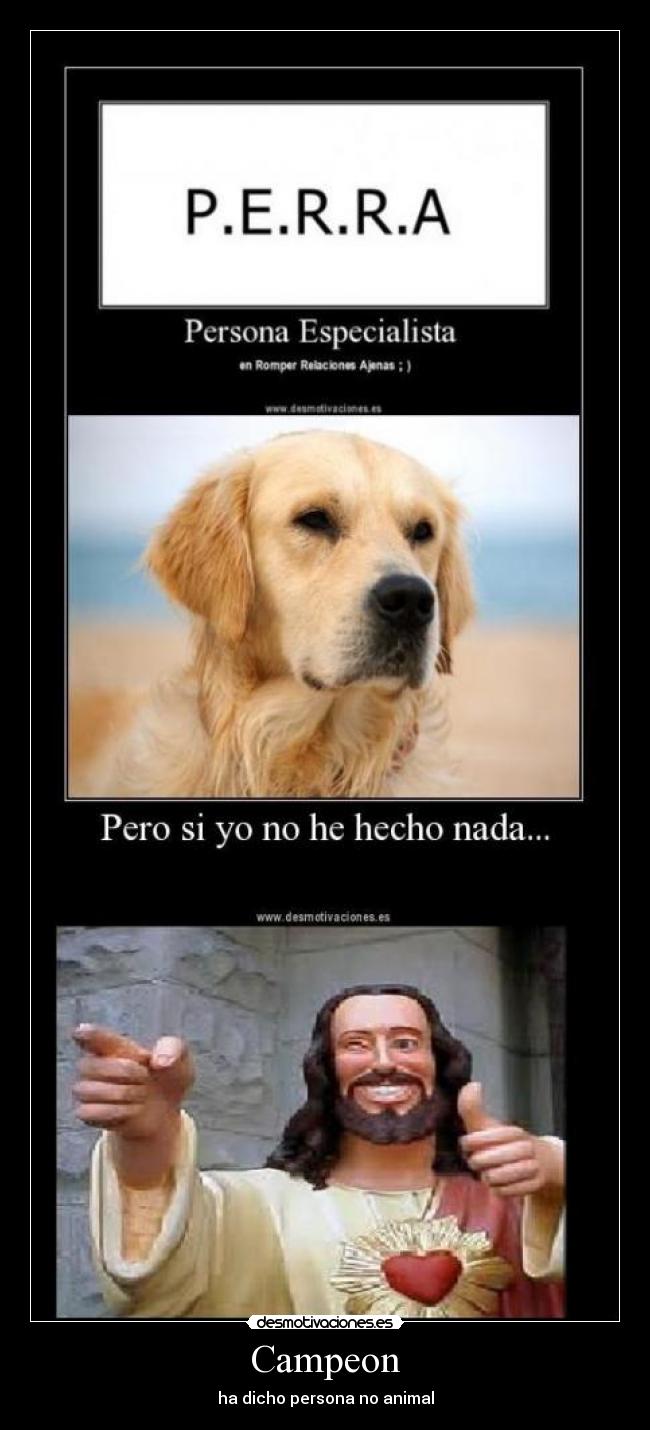 Campeon - ha dicho persona no animal