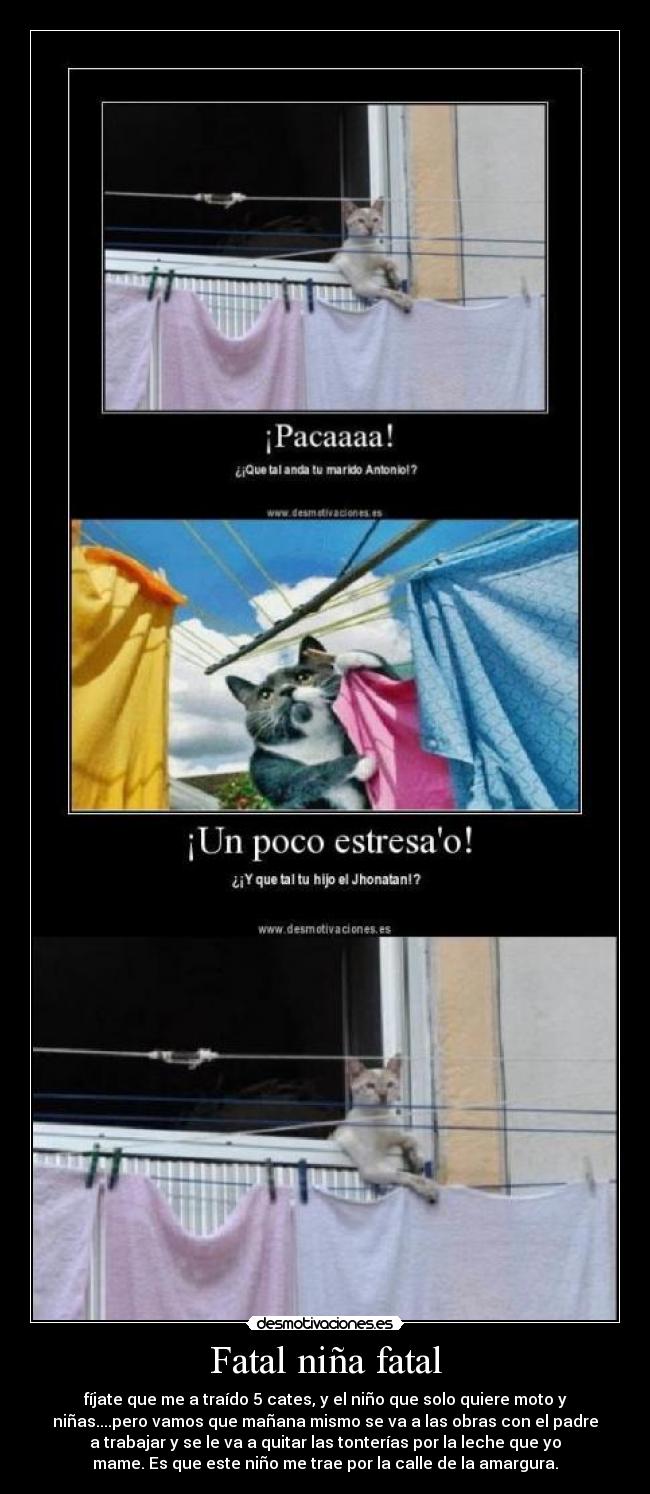 Fatal niña fatal - fíjate que me a traído 5 cates, y el niño que solo quiere moto y
niñas....pero vamos que mañana mismo se va a las obras con el padre
a trabajar y se le va a quitar las tonterías por la leche que yo
mame. Es que este niño me trae por la calle de la amargura.