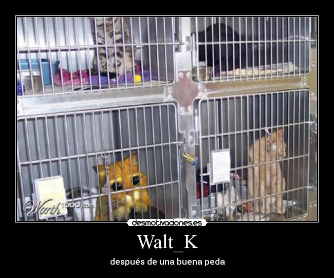 Walt_K -