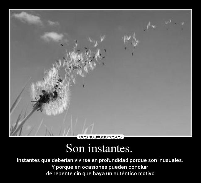 Son instantes. - Instantes que deberían vivirse en profundidad porque son inusuales.
Y porque en ocasiones pueden concluir
de repente sin que haya un auténtico motivo.