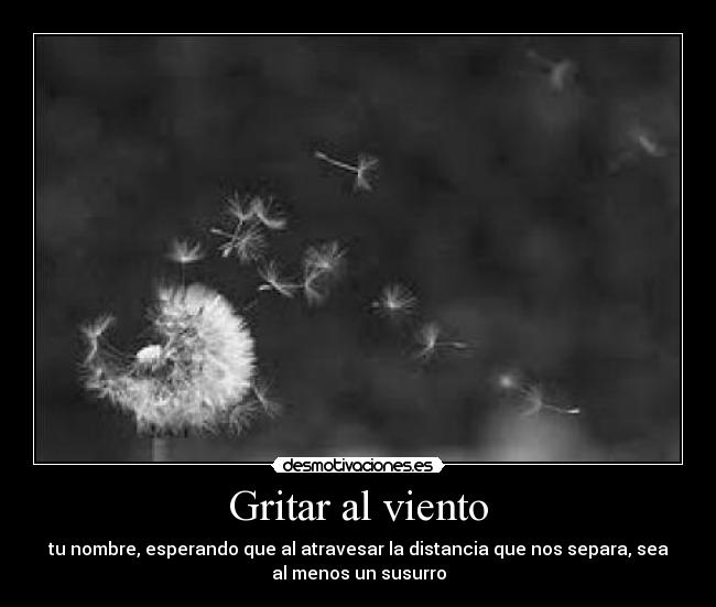 Gritar al viento -