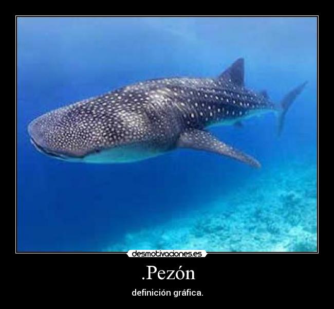 .Pezón - definición gráfica.