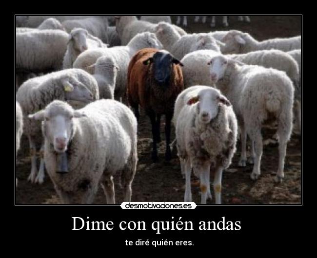 Dime con quién andas - te diré quién eres.