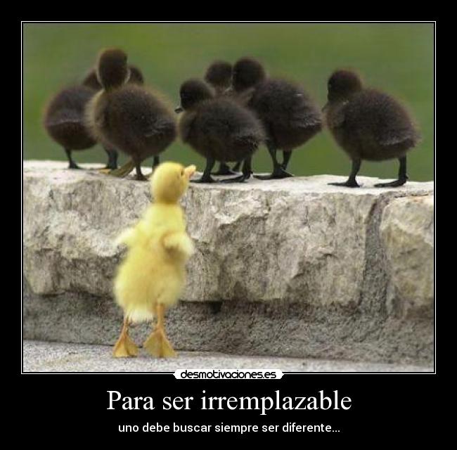 Para ser irremplazable - uno debe buscar siempre ser diferente...
