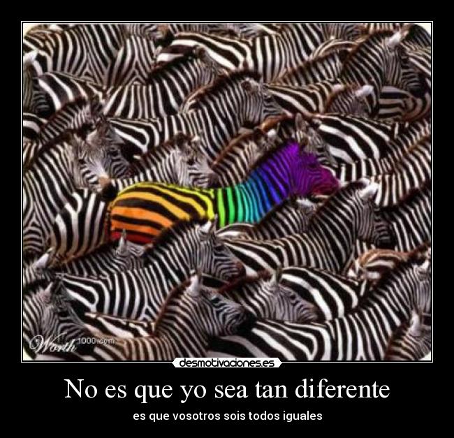 No es que yo sea tan diferente - es que vosotros sois todos iguales